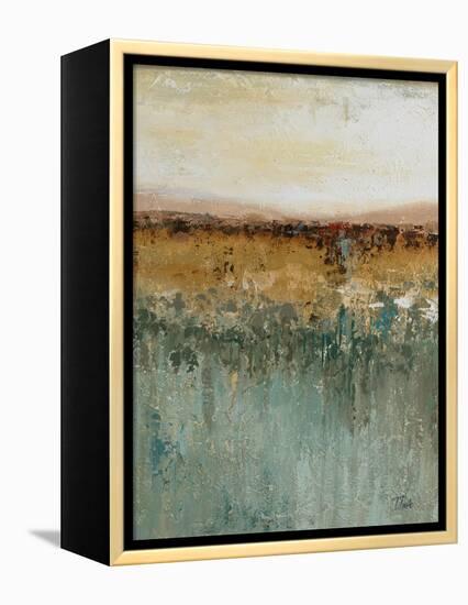 Antique Contemporary II-Patricia Pinto-Framed Stretched Canvas