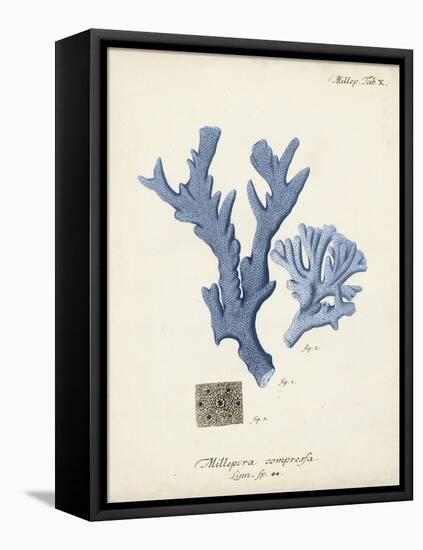 Antique Coral in Navy I-Johann Esper-Framed Stretched Canvas