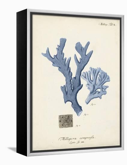 Antique Coral in Navy I-Johann Esper-Framed Stretched Canvas