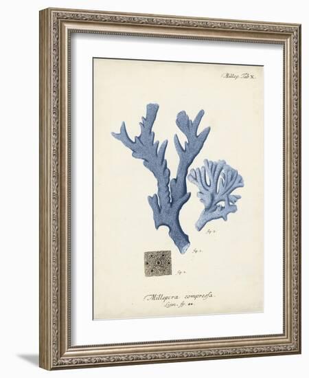 Antique Coral in Navy I-Johann Esper-Framed Art Print