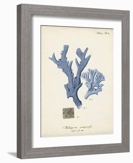 Antique Coral in Navy I-Johann Esper-Framed Art Print