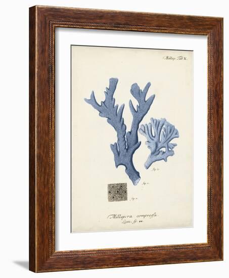 Antique Coral in Navy I-Johann Esper-Framed Art Print