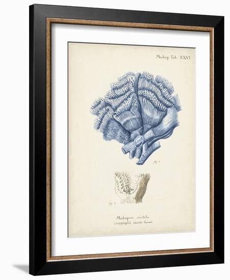 Antique Coral in Navy II-Johann Esper-Framed Art Print