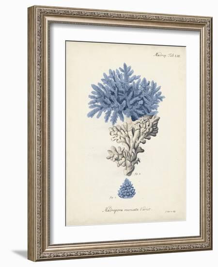 Antique Coral in Navy III-Johann Esper-Framed Art Print