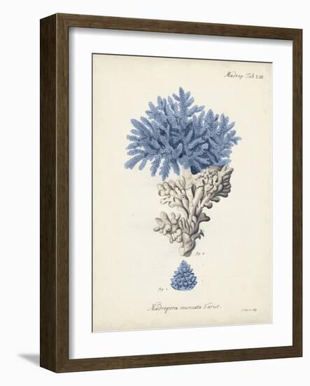 Antique Coral in Navy III-Johann Esper-Framed Art Print
