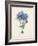 Antique Coral in Navy III-Johann Esper-Framed Art Print