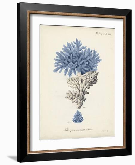 Antique Coral in Navy III-Johann Esper-Framed Art Print