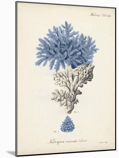 Antique Coral in Navy III-Johann Esper-Mounted Art Print