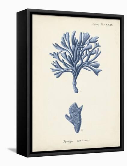 Antique Coral in Navy IV-Johann Esper-Framed Stretched Canvas