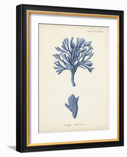 Antique Coral in Navy IV-Johann Esper-Framed Art Print