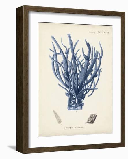 Antique Coral in Navy V-Johann Esper-Framed Art Print