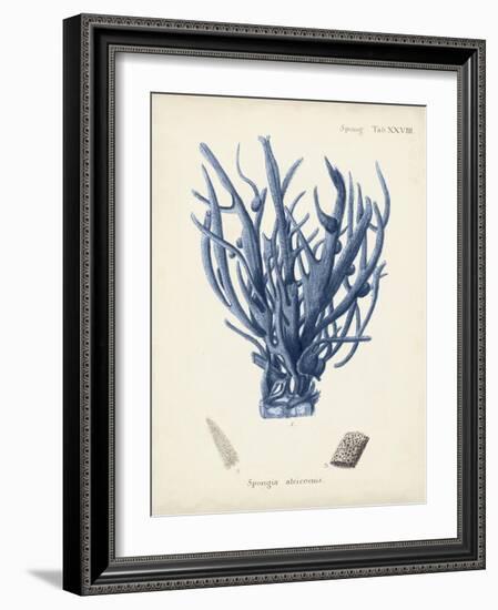 Antique Coral in Navy V-Johann Esper-Framed Art Print