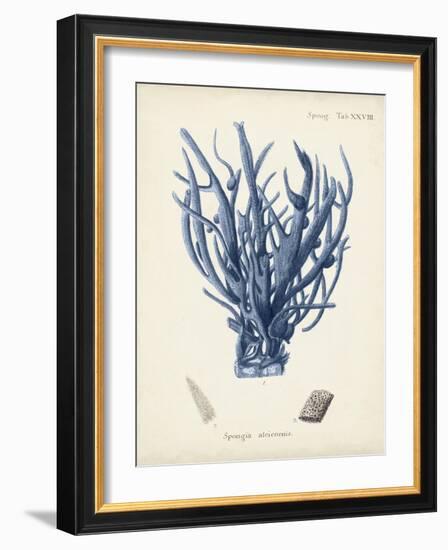 Antique Coral in Navy V-Johann Esper-Framed Art Print
