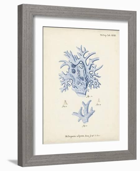 Antique Coral in Navy VI-Johann Esper-Framed Art Print