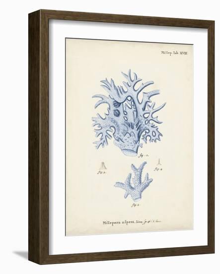 Antique Coral in Navy VI-Johann Esper-Framed Art Print