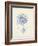 Antique Coral in Navy VI-Johann Esper-Framed Art Print