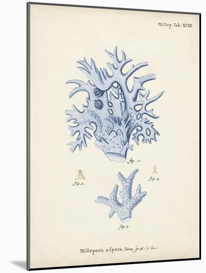 Antique Coral in Navy VI-Johann Esper-Mounted Art Print