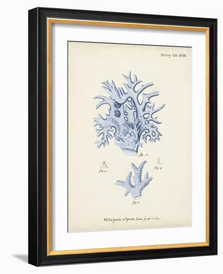 Antique Coral in Navy VI-Johann Esper-Framed Art Print