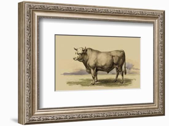 Antique Cow I-Julian Bien-Framed Art Print