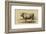 Antique Cow I-Julian Bien-Framed Art Print