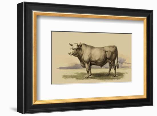 Antique Cow I-Julian Bien-Framed Art Print