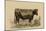 Antique Cow II-Julian Bien-Mounted Art Print