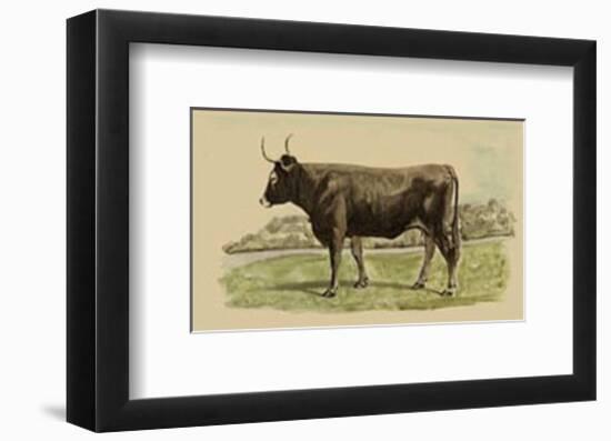 Antique Cow III-Julian Bien-Framed Art Print