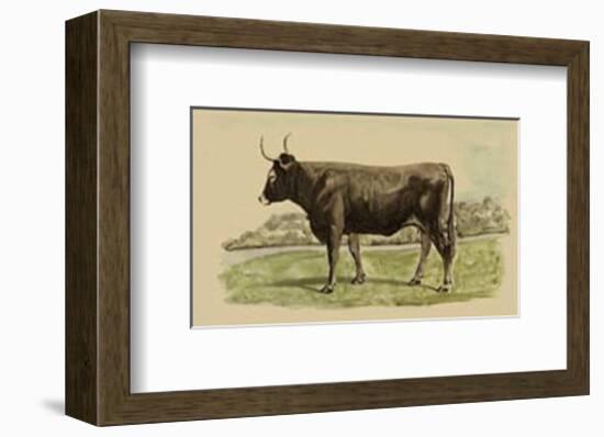 Antique Cow III-Julian Bien-Framed Art Print