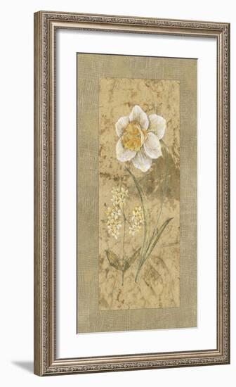 Antique Daffodil-Stefania Carlini-Framed Giclee Print