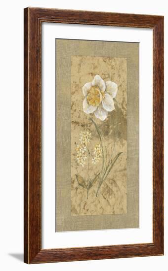 Antique Daffodil-Stefania Carlini-Framed Giclee Print