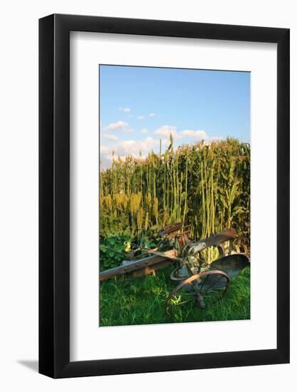Antique farm equipment, Indiana State Fair, Indianapolis, Indiana,-Anna Miller-Framed Photographic Print
