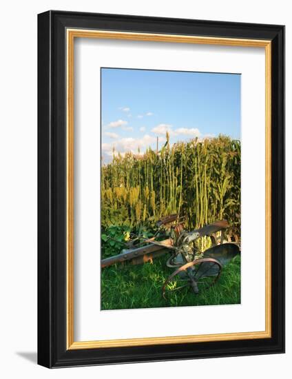 Antique farm equipment, Indiana State Fair, Indianapolis, Indiana,-Anna Miller-Framed Photographic Print