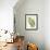 Antique Fern II-Vision Studio-Framed Art Print displayed on a wall