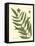 Antique Fern II-Vision Studio-Framed Stretched Canvas