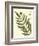 Antique Fern II-Vision Studio-Framed Art Print