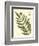 Antique Fern II-Vision Studio-Framed Art Print