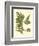 Antique Fern III-Vision Studio-Framed Art Print