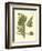 Antique Fern III-Vision Studio-Framed Art Print