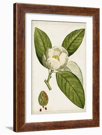 Antique Flowering Trees II-null-Framed Art Print