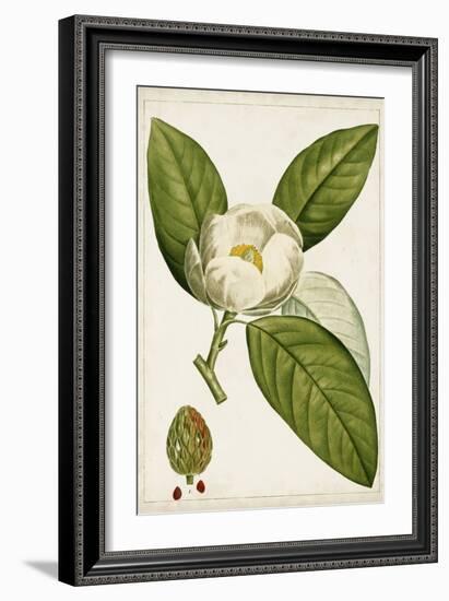 Antique Flowering Trees II-null-Framed Art Print