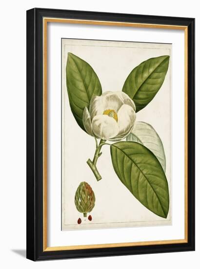 Antique Flowering Trees II-null-Framed Art Print