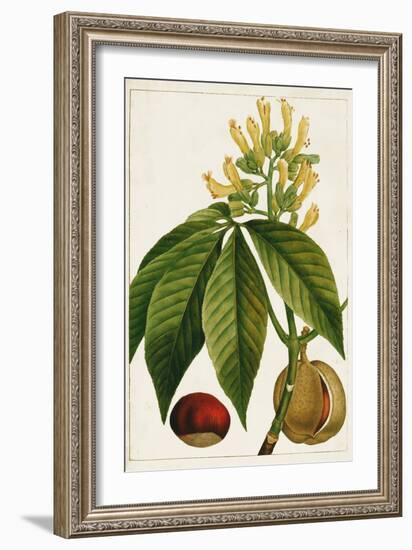 Antique Flowering Trees VI-null-Framed Art Print