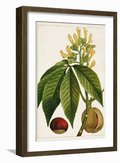 Antique Flowering Trees VI-null-Framed Art Print