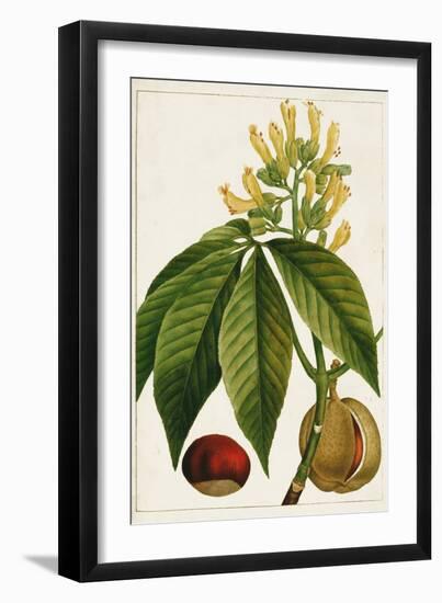 Antique Flowering Trees VI-null-Framed Art Print