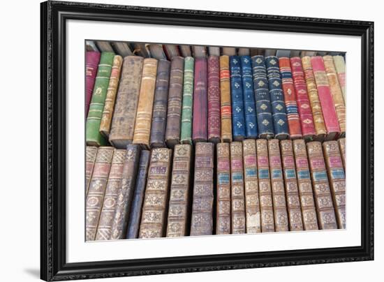 Antique French books, Dijon, Burgundy, France-Jim Engelbrecht-Framed Photographic Print