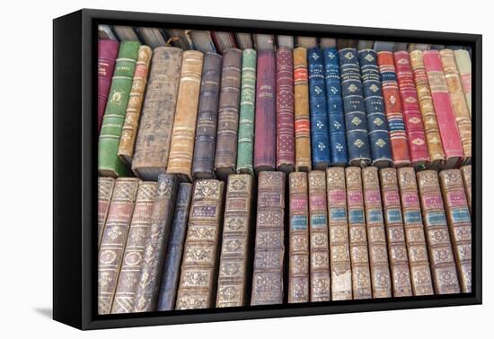 Antique French books, Dijon, Burgundy, France-Jim Engelbrecht-Framed Premier Image Canvas