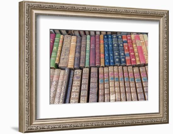 Antique French books, Dijon, Burgundy, France-Jim Engelbrecht-Framed Photographic Print