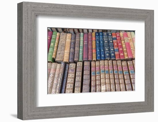 Antique French books, Dijon, Burgundy, France-Jim Engelbrecht-Framed Photographic Print