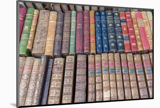 Antique French books, Dijon, Burgundy, France-Jim Engelbrecht-Mounted Photographic Print