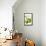 Antique Green Pear-Vision Studio-Framed Stretched Canvas displayed on a wall